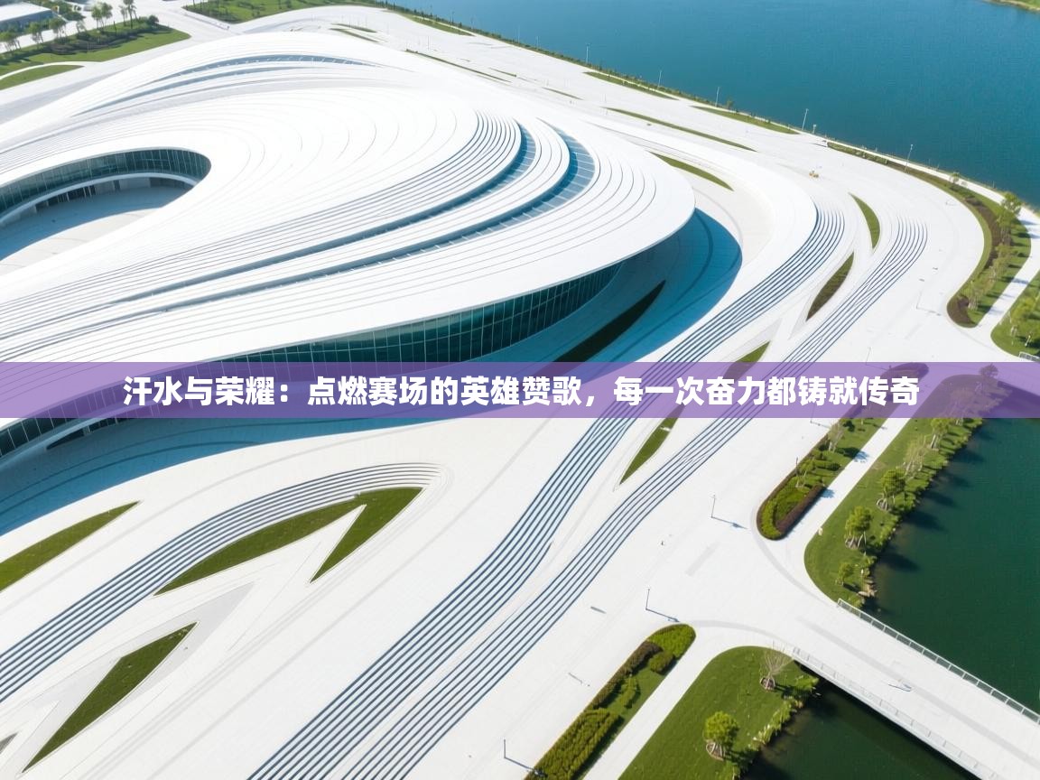 汗水与荣耀：点燃赛场的英雄赞歌，每一次奋力都铸就传奇  第2张